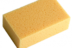 Sponge